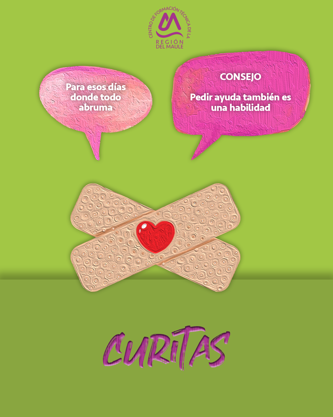 Galería CFT Maule