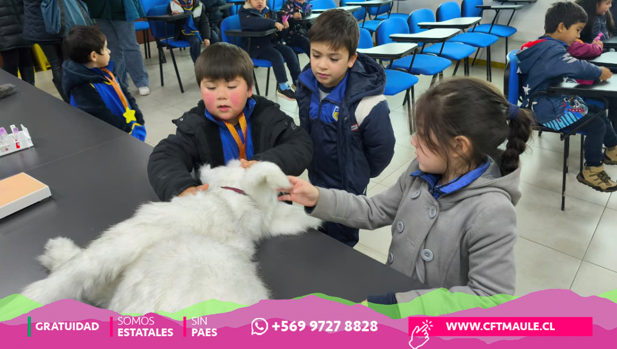 Galería CFT Maule