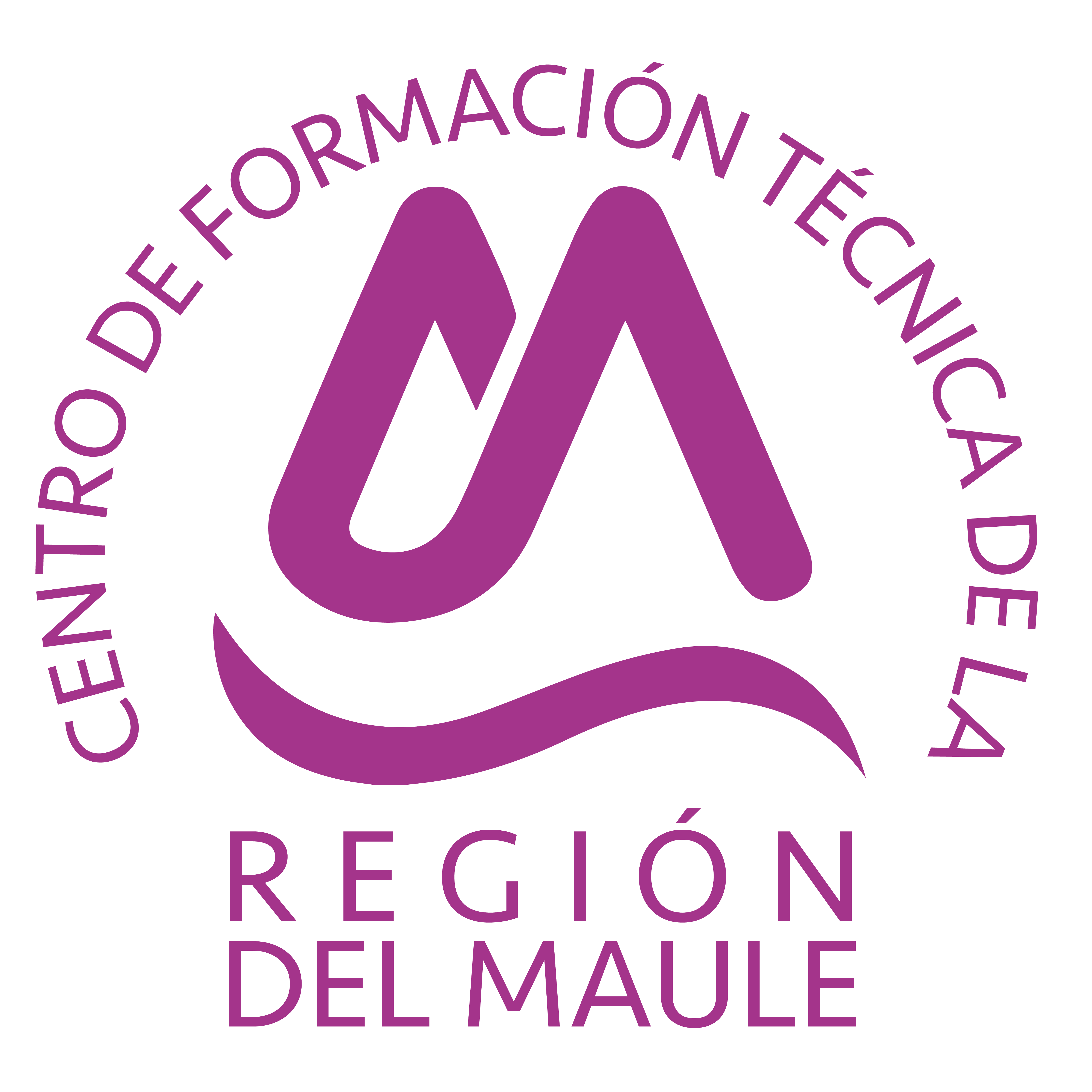 Logo CFT Maule